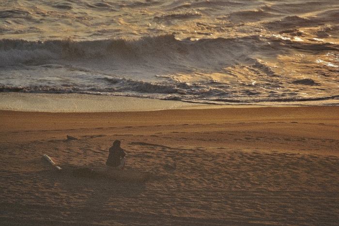 person sitting on driftwood watching sunset